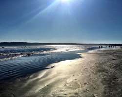 The mineral called mica causes the sand here to gl The mineral called mica causes the sand here to glimmer. One can notice little flecks of gold shimmer best in the swash and calmer knee-deep water bef